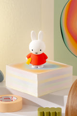 Smoko Miffy Doing Things Blind Box Figure